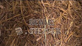 Сенненлучи - порно видео